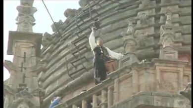El mariquelo vuelve a subir a la torre de la catedral de Salamanca