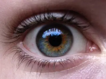 Ojos azules con manchas de marrón Ojos azules con manchas de marrón