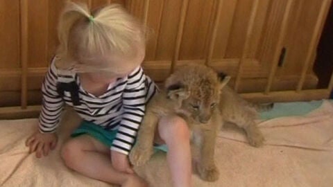 Una ni&ntilde;a adopta un cachorro de le&oacute;n como mascota