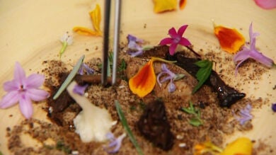 'Lo mejor de la gastronomía' se atreve a cocinar un bosque animado comestible