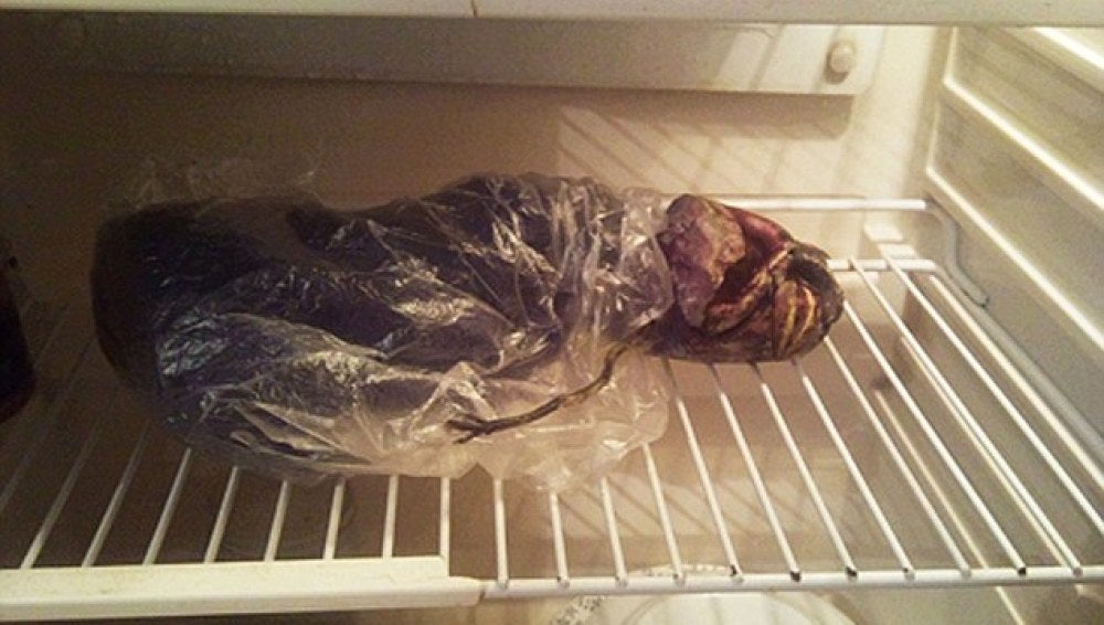 Un alien escondido en una nevera