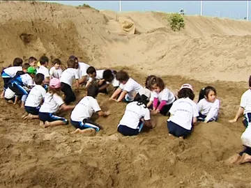 Los niños en el taller de escultura con arena. Los niños en el taller de escultura con arena.