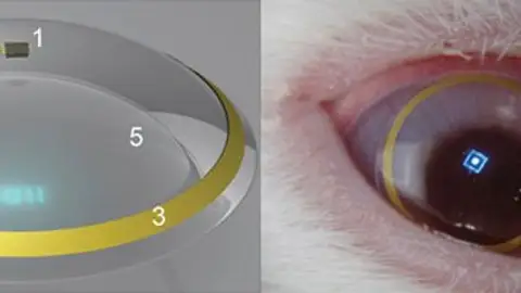 Lentillas de realidad amentada Lentillas de realidad amentada