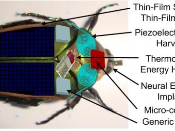 La energía biológica del insecto prolonga la batería de la parte mecánica que se le incorpora.