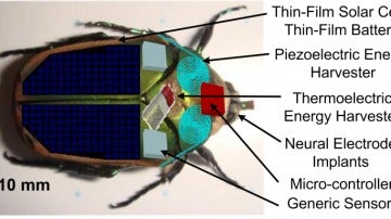 La energía biológica del insecto prolonga la batería de la parte mecánica que se le incorpora.