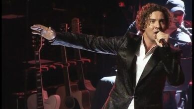 David Bisbal: 