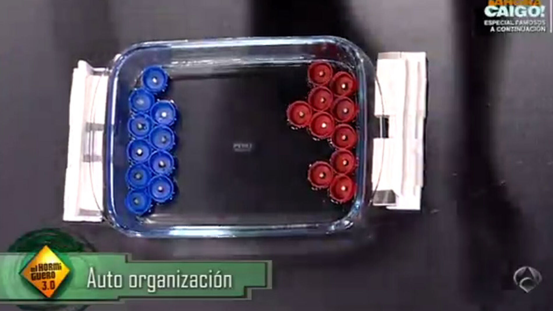 Auto organizaci&oacute;n