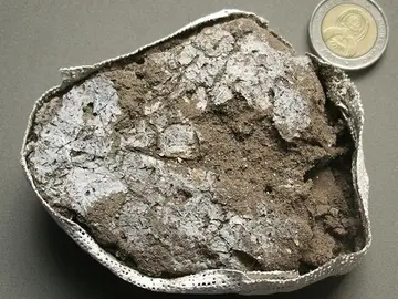 Fragmento del colchón vegetal fosilizado Fragmento del colchón vegetal fosilizado