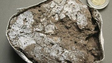 Fragmento del colchón vegetal fosilizado