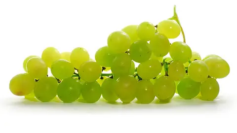 Uvas Uvas
