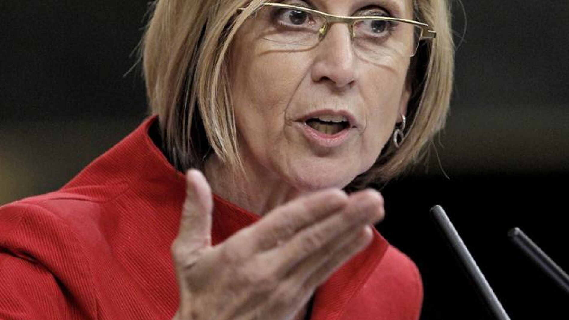 Rosa D&iacute;ez en el Congreso de los diputados