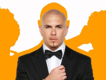 Pitbull