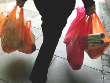 La cesta de la compra La cesta de la compra