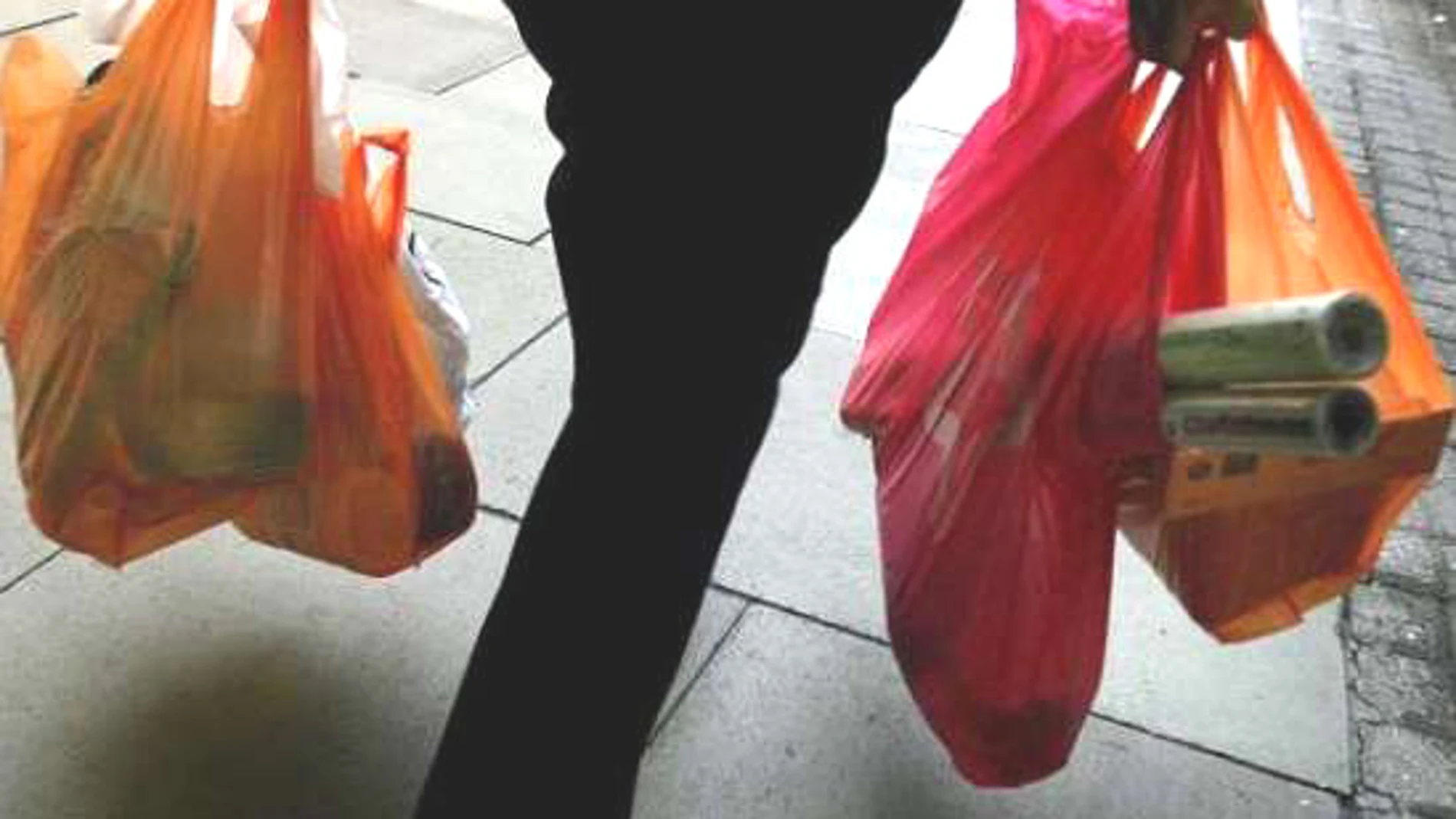 La cesta de la compra La cesta de la compra