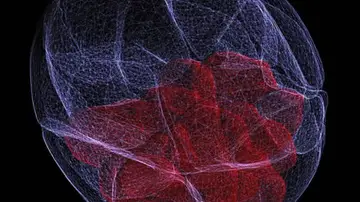 Blastocisto de un embrión Blastocisto de un embrión