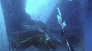 Imágenes submarinas del crucero