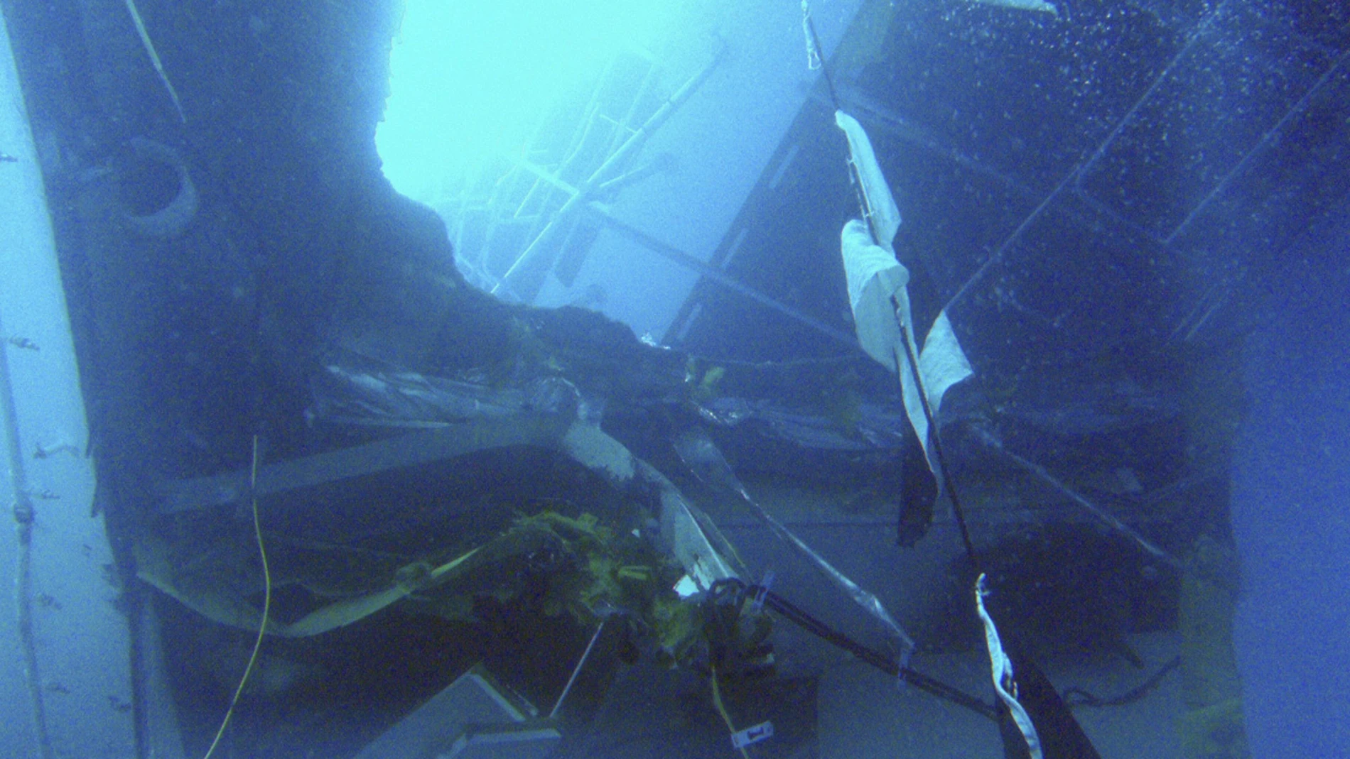 Imágenes submarinas del crucero Imágenes submarinas del crucero