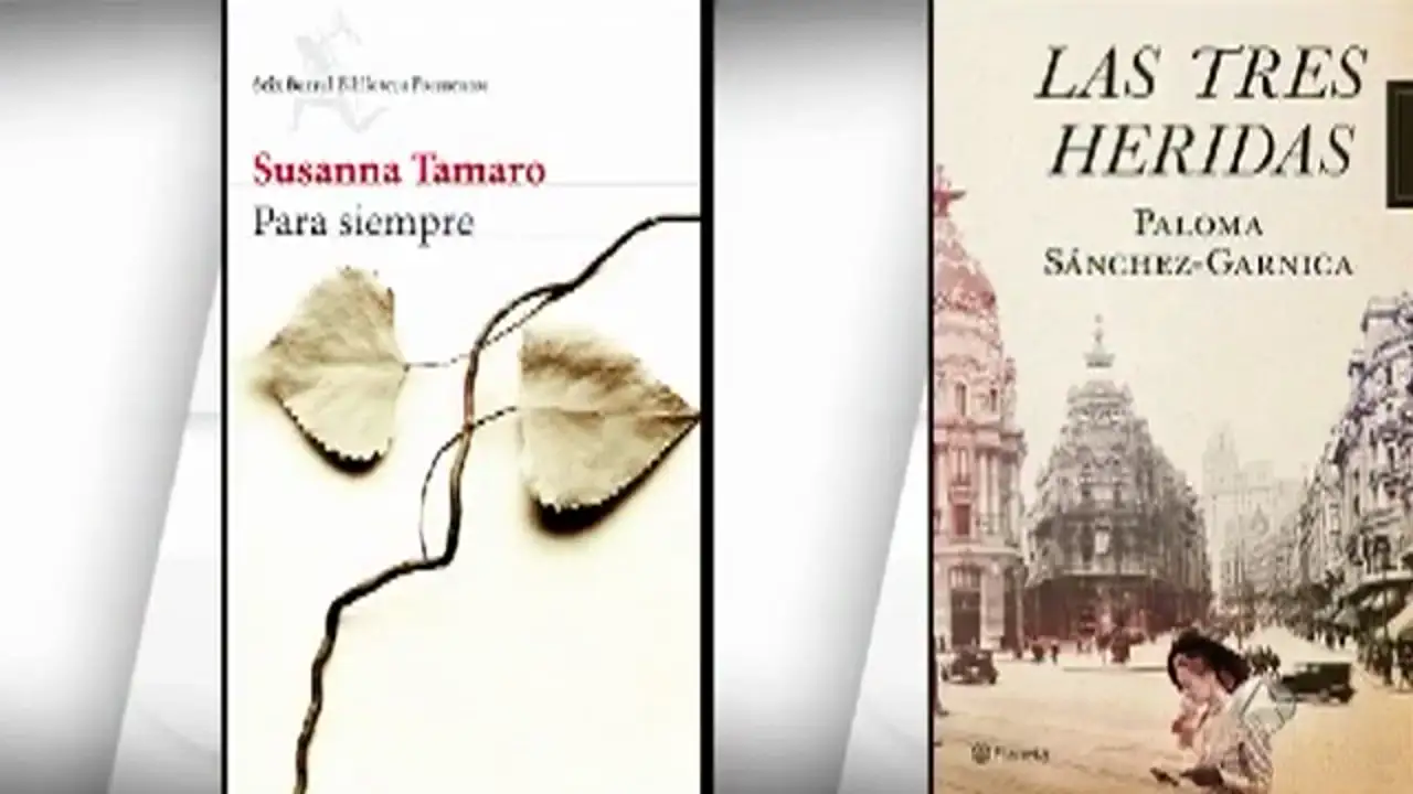 Las tres heridas by Paloma Sánchez-Garnica - Paperback - 2013. - from  Alcana Libros (SKU: 3001416)