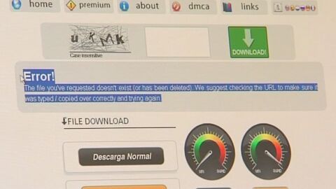 Las webs de descargas, en alerta tras la ca&iacute;da de Megaupload
