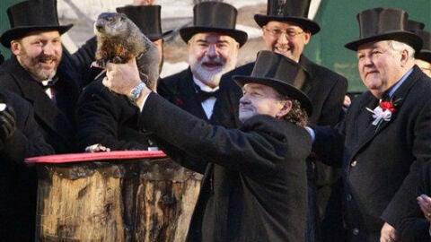 La marmota Phil ve su sombra