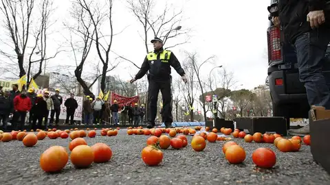 Agricultores españoles se manifiestan Agricultores españoles se manifiestan