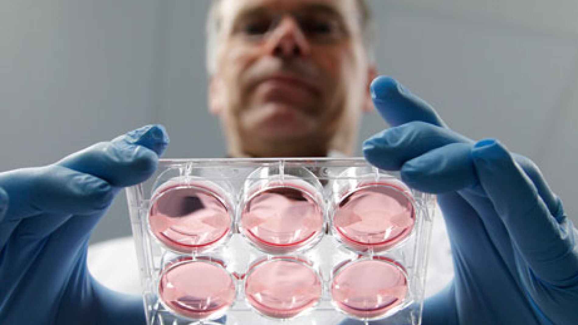 Mark Post sujeta muestras de carne artificial creciendo