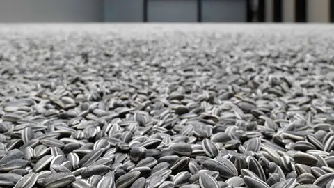 'Pipas de girasol 2010', de Ai Weiwei 'Pipas de girasol 2010', de Ai Weiwei