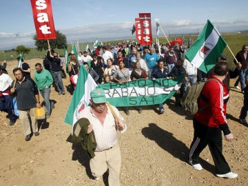 Manifestación de jornaleros en Palma del Río