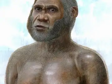 Imagen facilitada por la revista PLoS One de una reconstrucción artística Imagen facilitada por la revista PLoS One de una reconstrucción artística