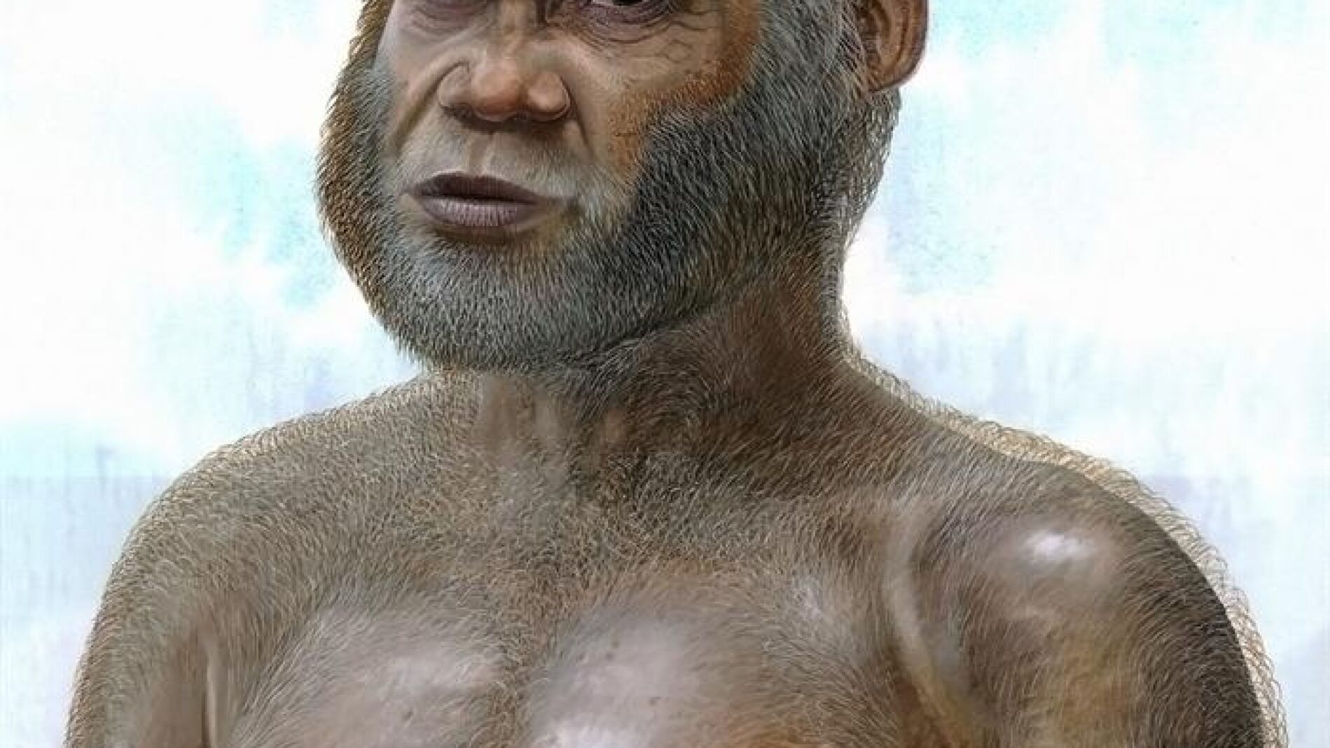 Imagen facilitada por la revista PLoS One de una reconstrucci&oacute;n art&iacute;stica