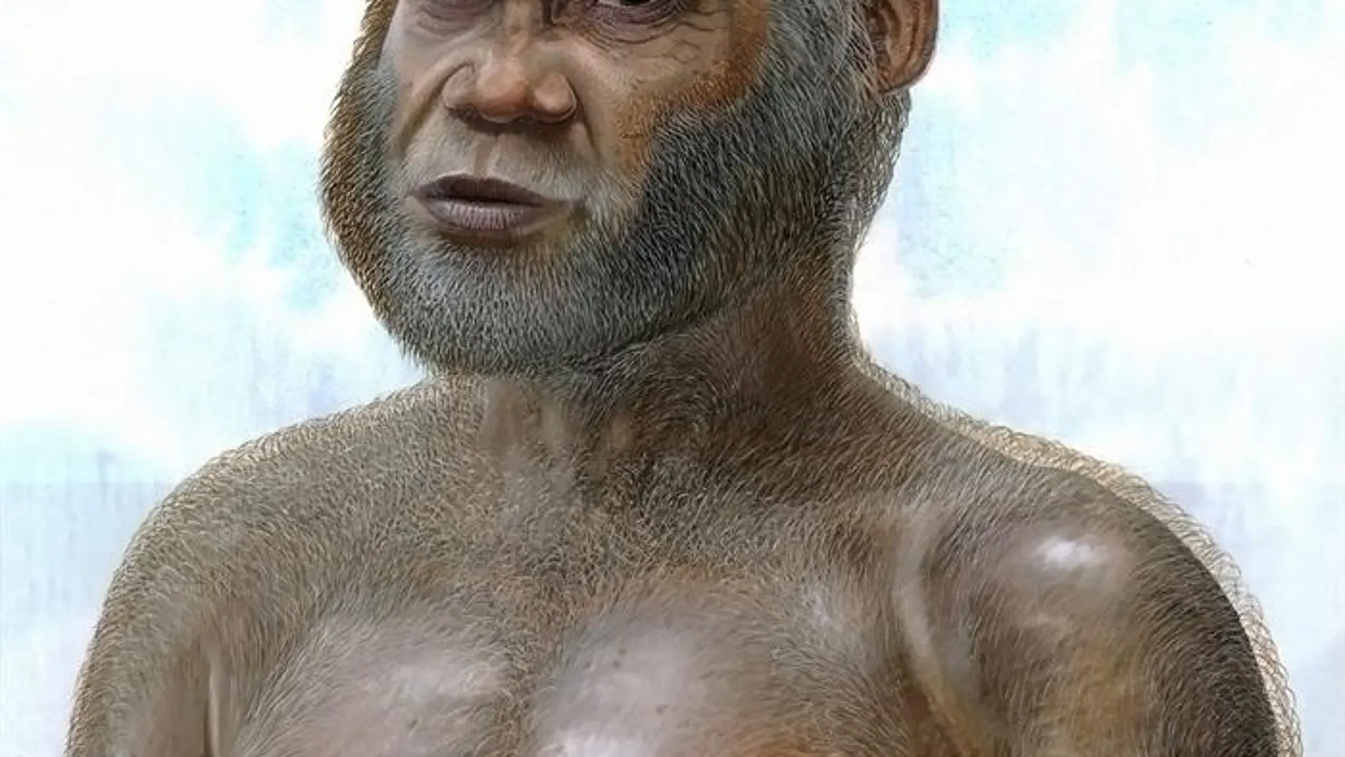 Imagen facilitada por la revista PLoS One de una reconstrucción artística Imagen facilitada por la revista PLoS One de una reconstrucción artística