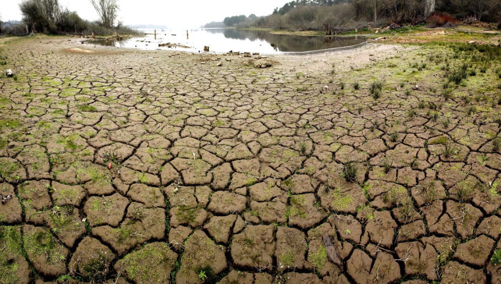 Tierra cuarteada por la sequía