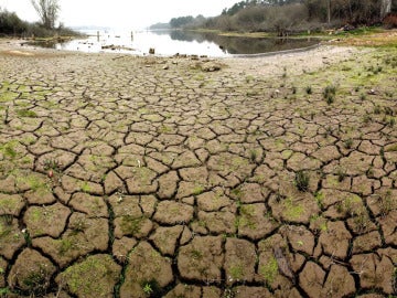 Tierra cuarteada por la sequía