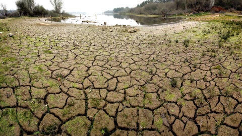 Tierra cuarteada por la sequ&iacute;a