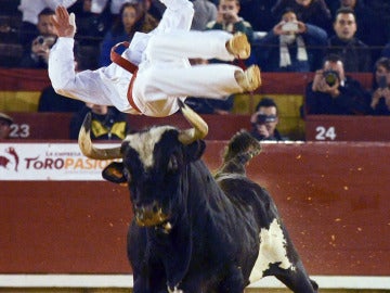 Momento del salto del recortador francés