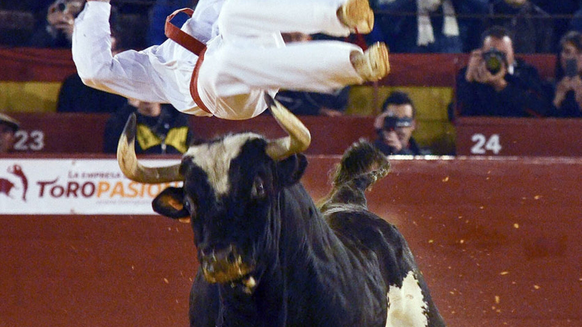 Momento del salto del recortador franc&eacute;s