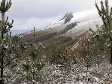 La entrada de un frente frío trae nuevas lluvias y nieve 