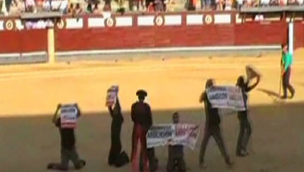 Activistas de Equanimal que saltaron al ruedo de la Plaza de Toros