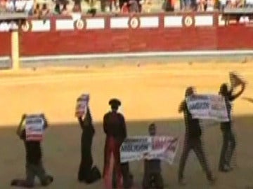 Activistas de Equanimal que saltaron al ruedo de la Plaza de Toros