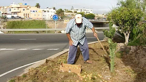 Una huerta en mitad de una rotonda