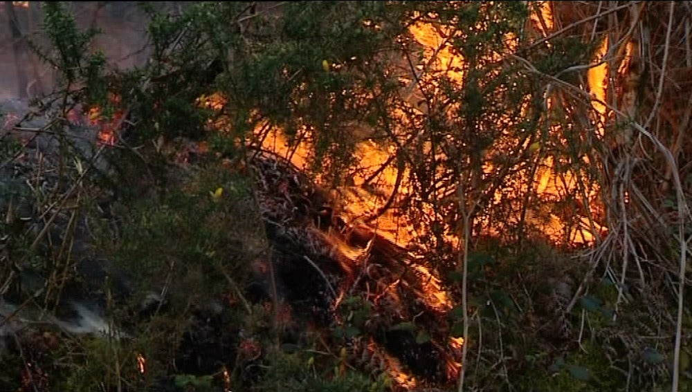 Incendio en Galicia