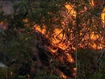 Incendio en Galicia