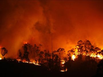 El incendio de Fragas do Eume sigue activo pero controlado El incendio de Fragas do Eume sigue activo pero controlado