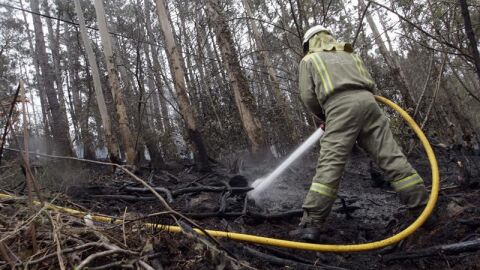 Incendio en el Fragas do Eume, Galicia
