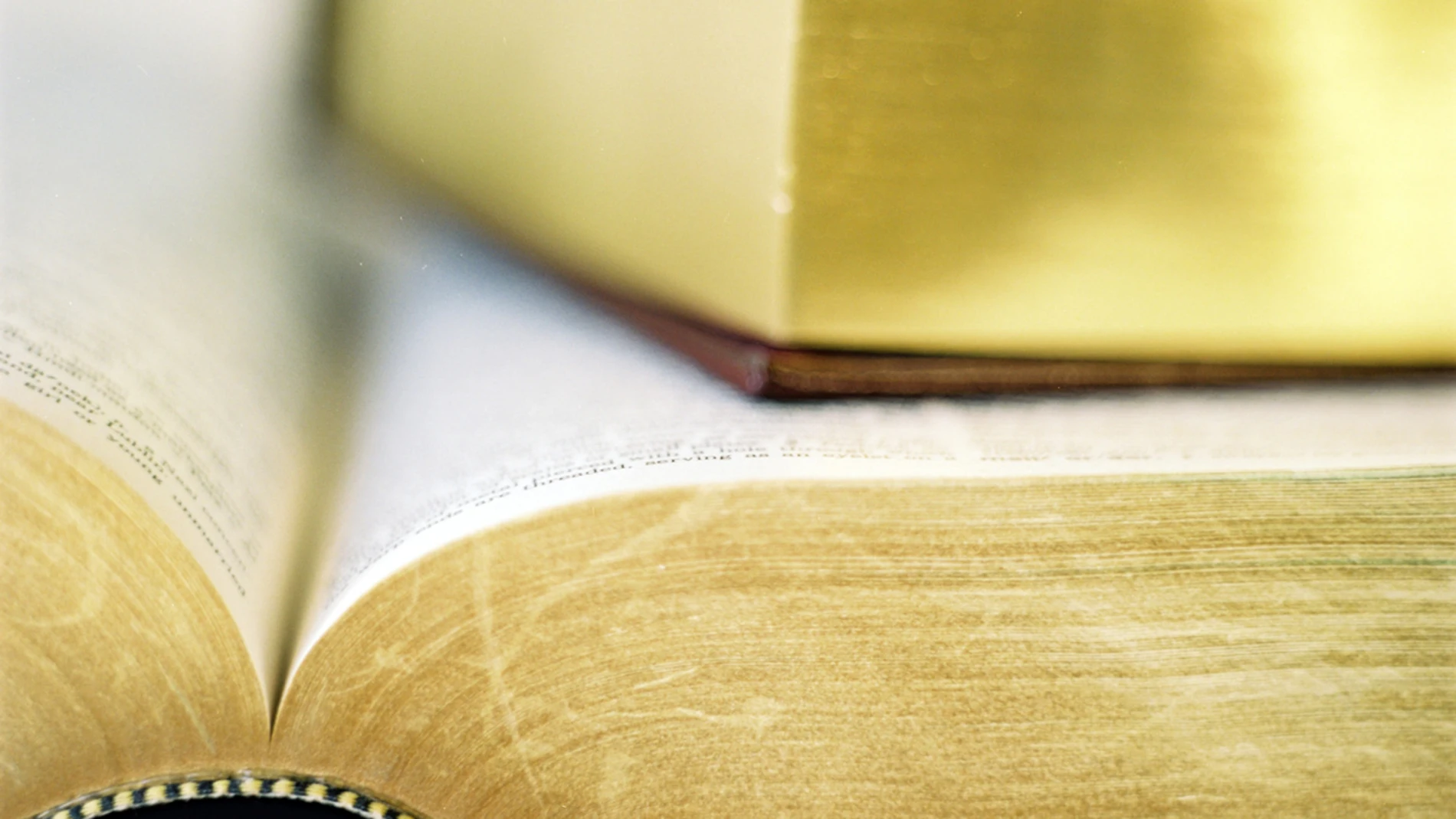 Día Internacional del Libro Día Internacional del Libro