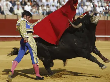 Rivera Ordóñez "Paquirri'" durante la faena a su primer toro Rivera Ordóñez "Paquirri'" durante la faena a su primer toro