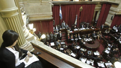 El Senado argentino aprueba la expropiaci&oacute;n de YPF