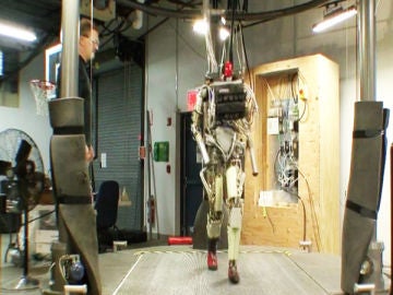 El robot