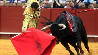 David Mora corta una oreja y deja su tarjeta de visita