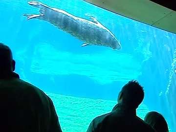 Planes para días de lluvia Planes para días de lluvia